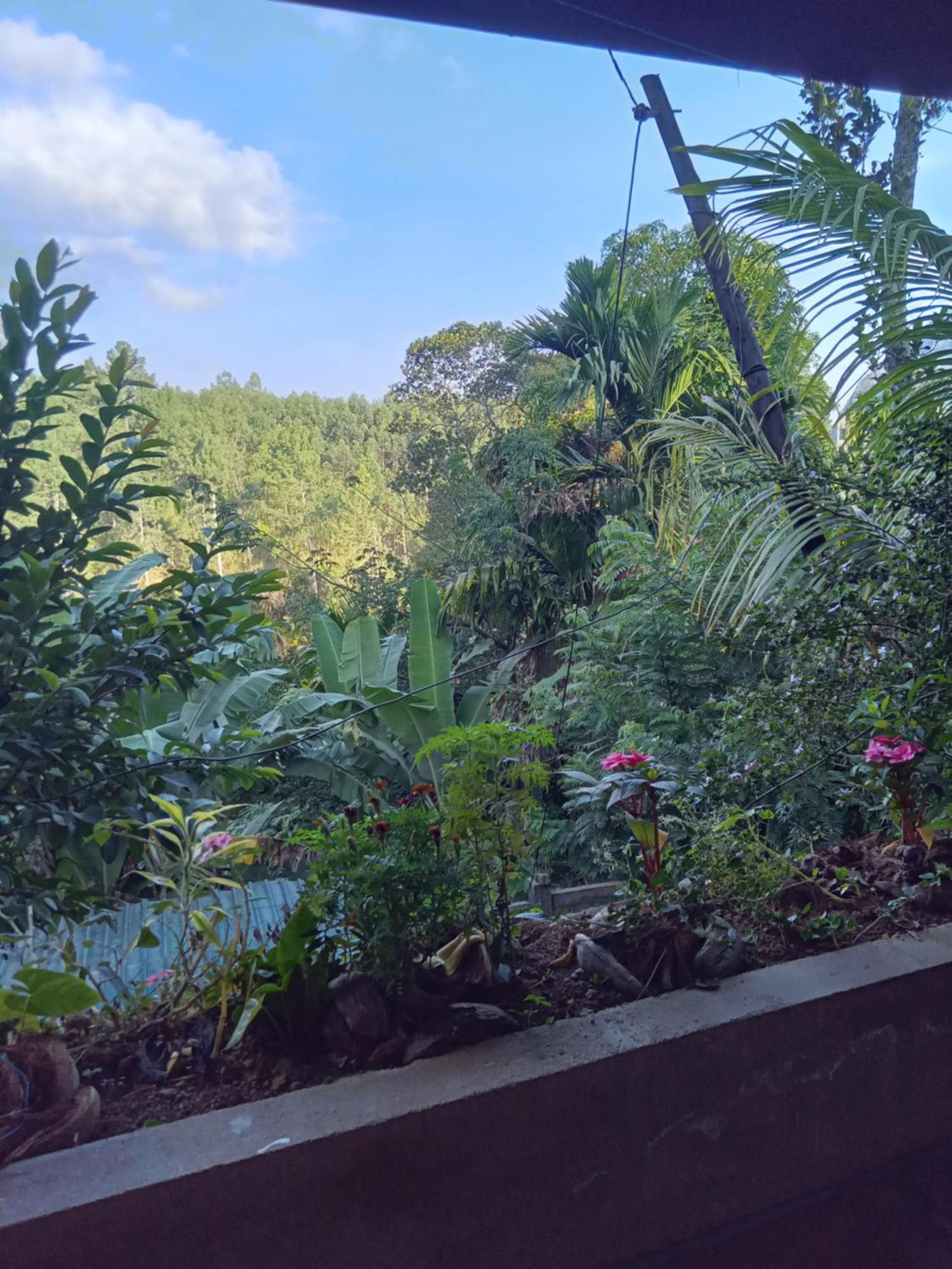 Aroma Heaven Homestay Ella Buitenkant foto