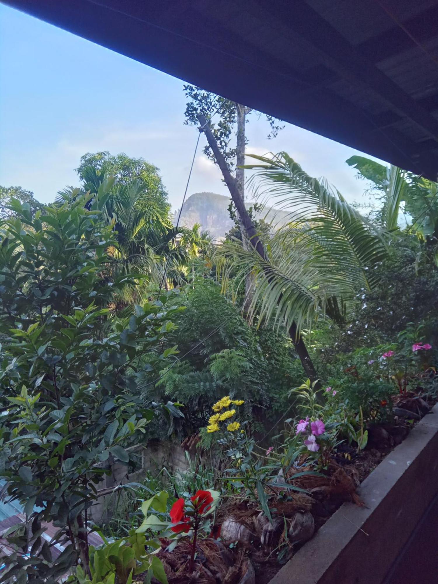 Aroma Heaven Homestay Ella Buitenkant foto