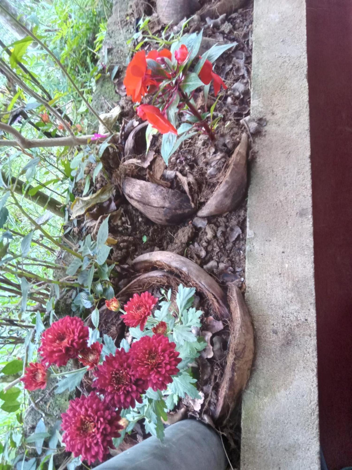 Aroma Heaven Homestay Ella Buitenkant foto