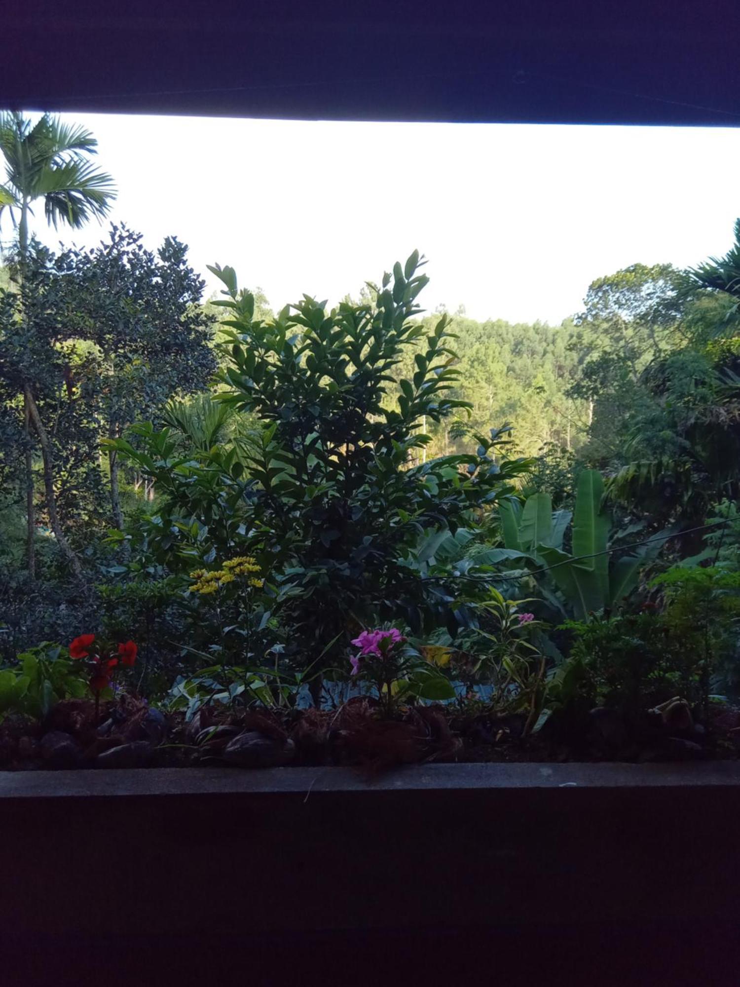 Aroma Heaven Homestay Ella Buitenkant foto