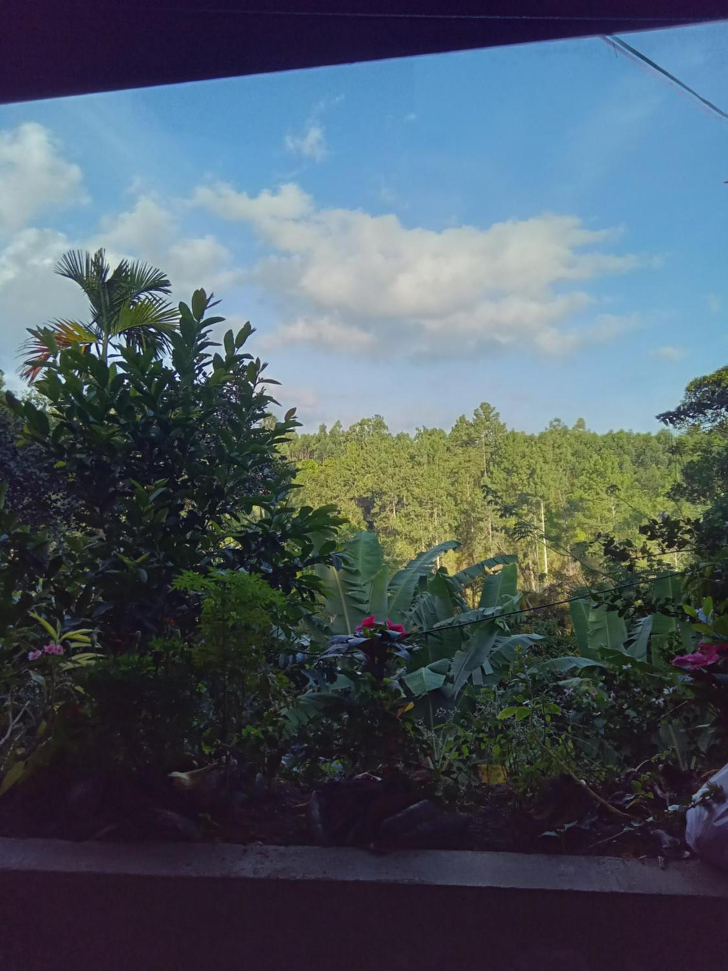 Aroma Heaven Homestay Ella Buitenkant foto