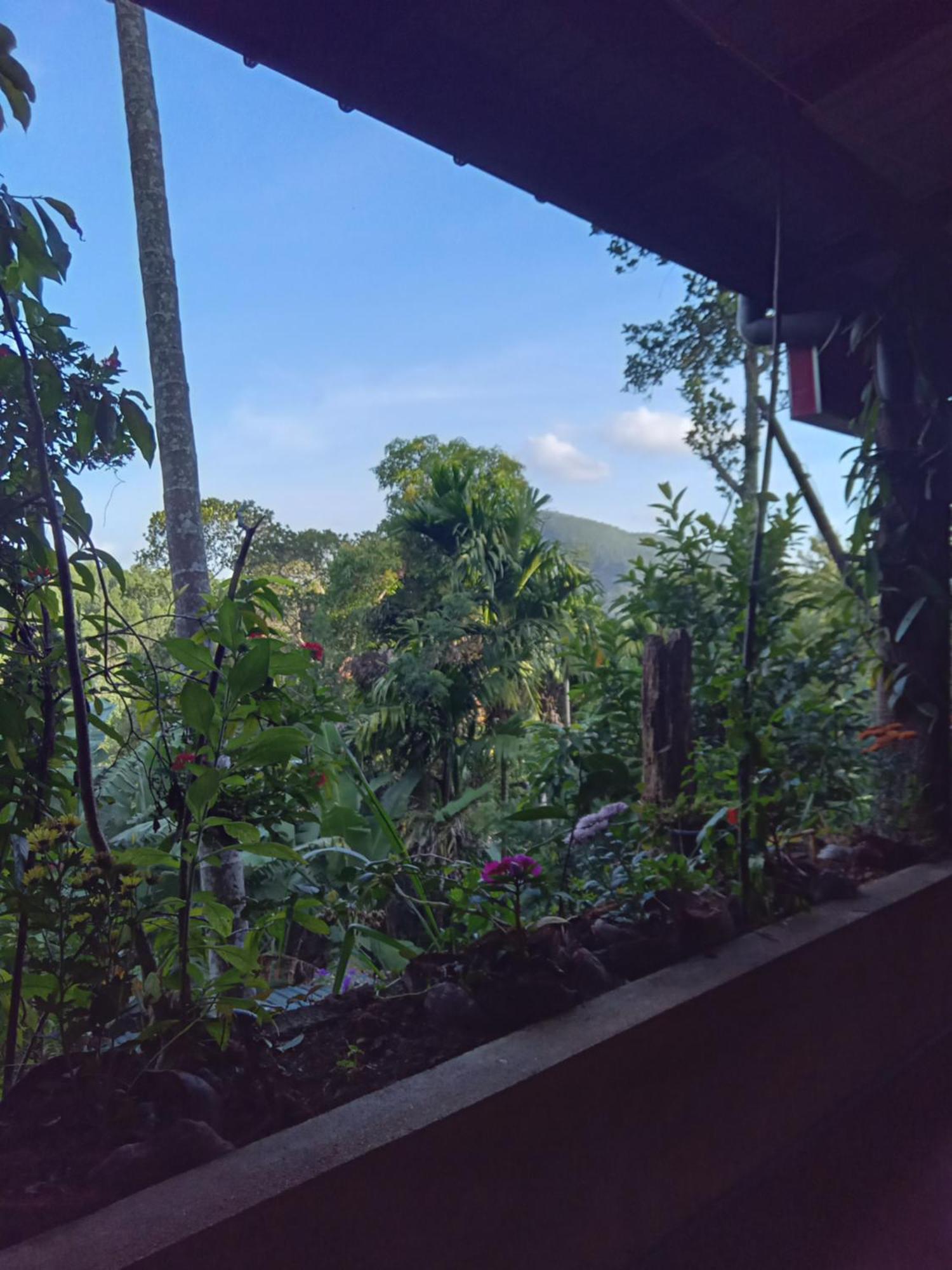 Aroma Heaven Homestay Ella Buitenkant foto