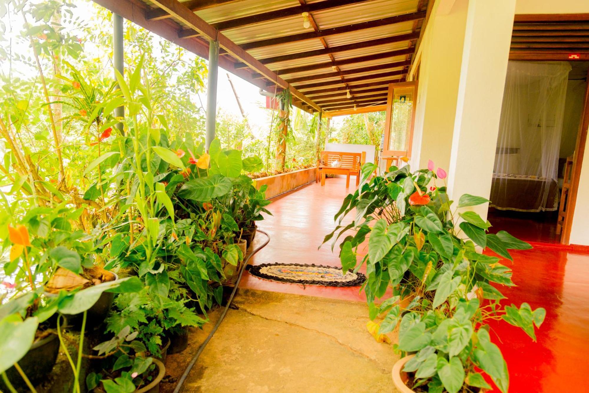 Aroma Heaven Homestay Ella Buitenkant foto
