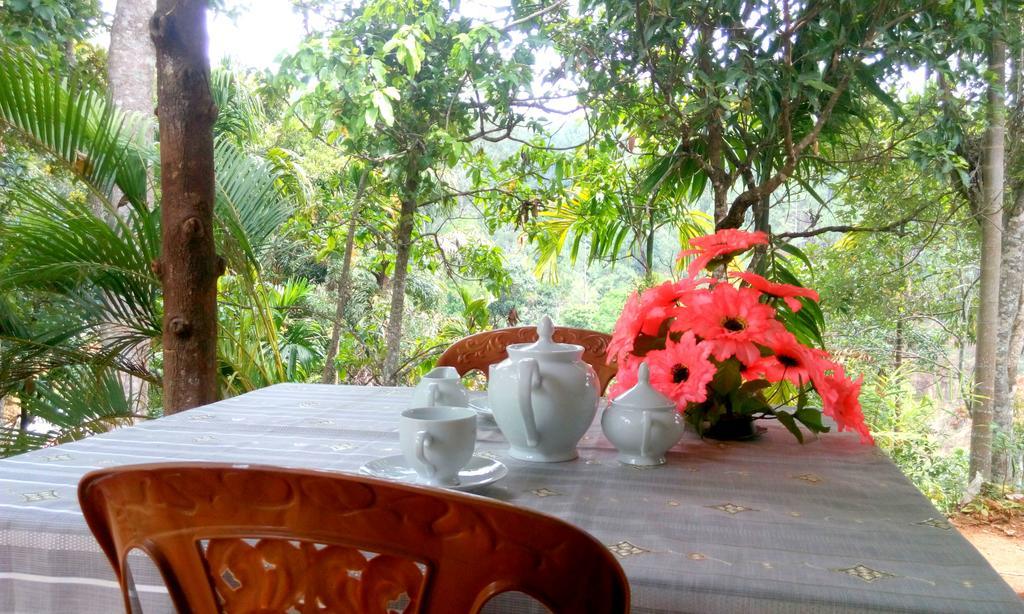 Aroma Heaven Homestay Ella Buitenkant foto