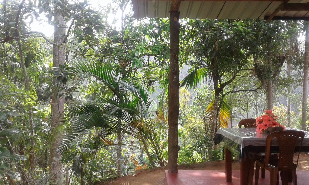 Aroma Heaven Homestay Ella Buitenkant foto