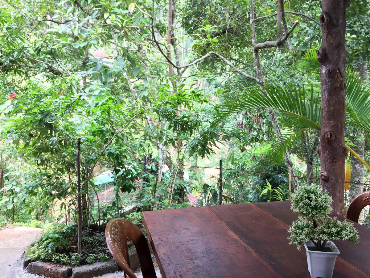 Aroma Heaven Homestay Ella Buitenkant foto