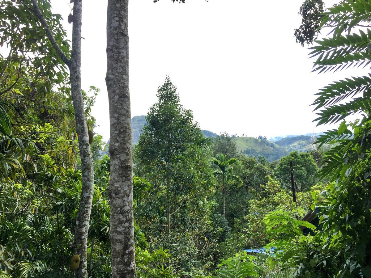 Aroma Heaven Homestay Ella Buitenkant foto